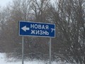 Панки в городе