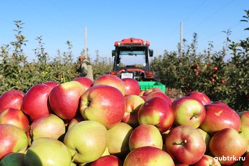 Белгородэнерго подключило к сетям газонаполнительные компрессорные станции в семи районах области