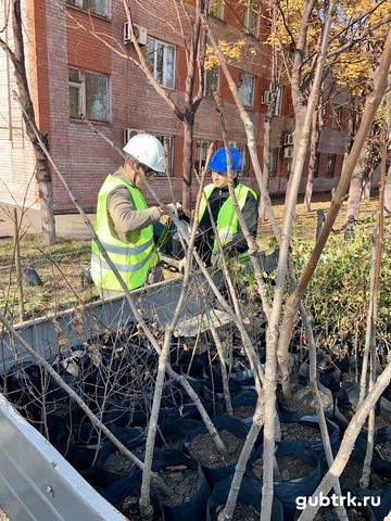 Зелёная миссия экологов Лебединского ГОКа