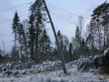 На передовом рубеже: энергетики «Россети Центр» оперативно ликвидировали последствия стихии в электросетевом комплексе Тверской области