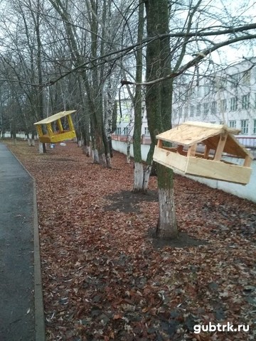 Дети посёлка Троицкий подготовили к зиме птичьи столовые