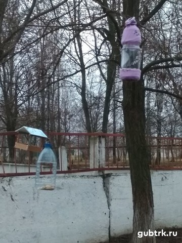 Дети посёлка Троицкий подготовили к зиме птичьи столовые